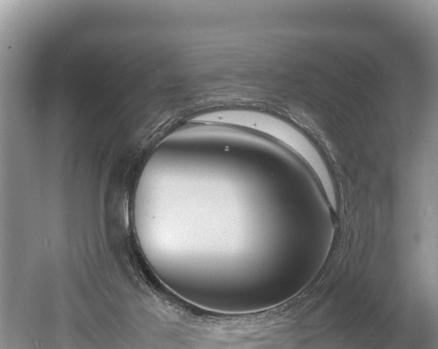 X0000052970021200507151814