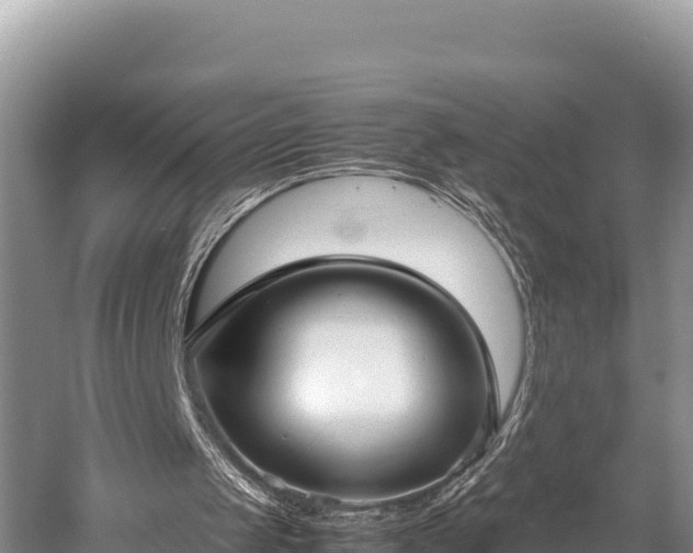 X0000052970049200507151812