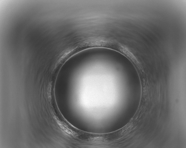 X0000052970058200507151812