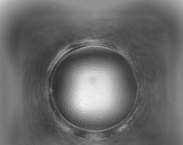 X0000052970103200507151812