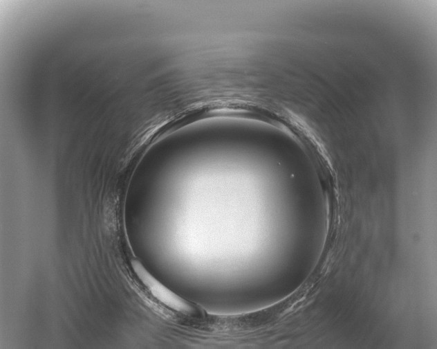 X0000052970105200507151812