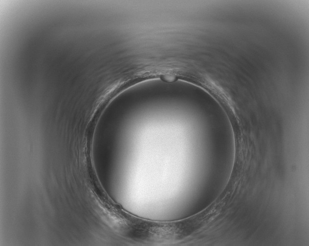 X0000052970107200507151812