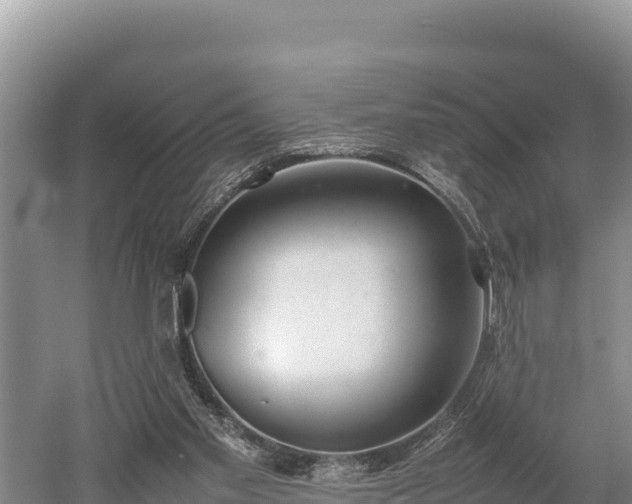 X0000052970109200507151812