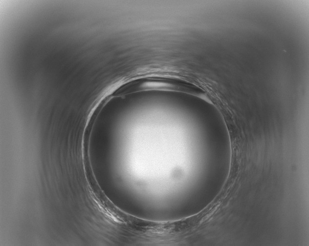 X0000052970148200507151811