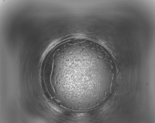 X0000052970151200507151811