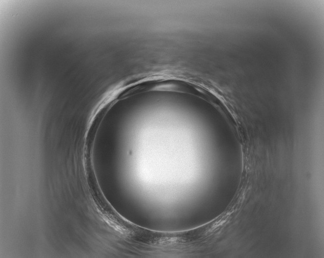 X0000052970152200507151811