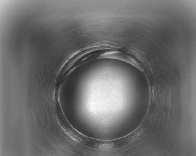 X0000052970156200507151811