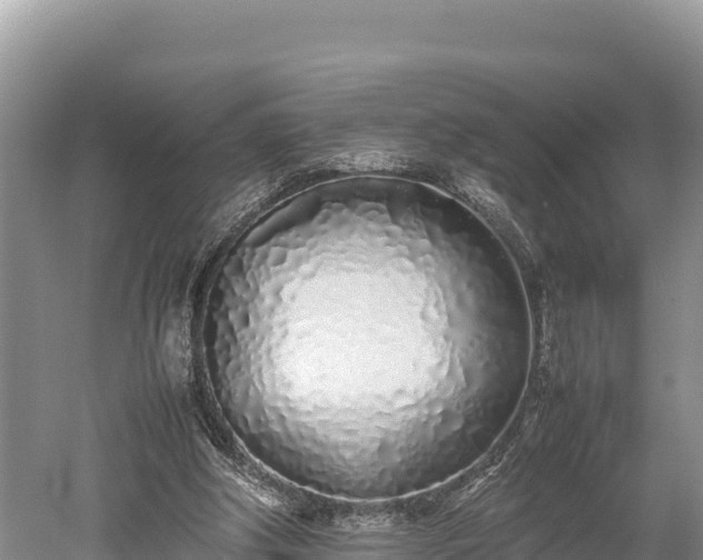 X0000052970202200507151810