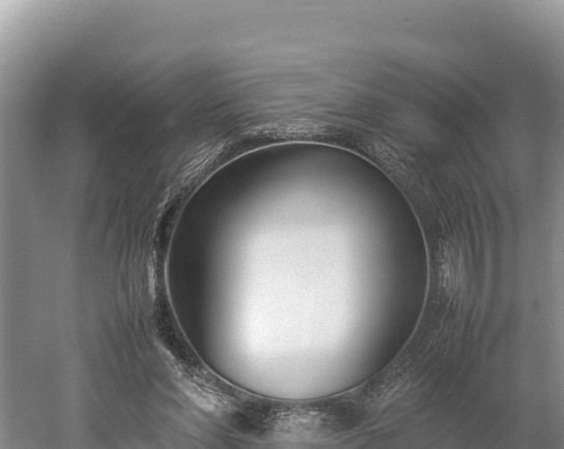 X0000052970206200507151810