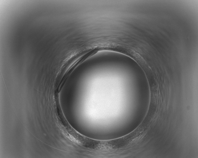 X0000052970207200507151810