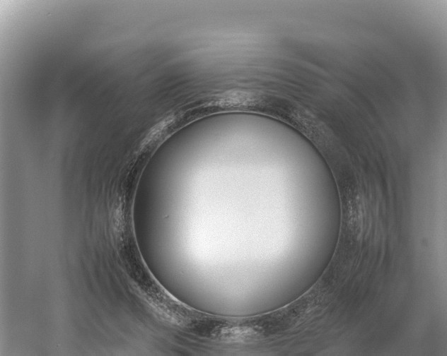 X0000052970208200507151810