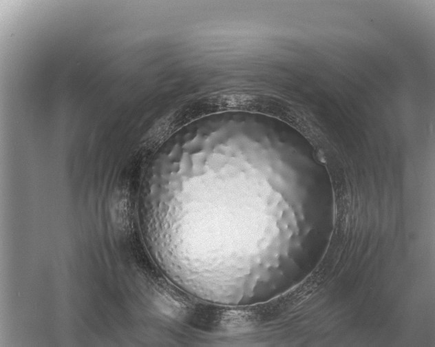 X0000052970222200507151810