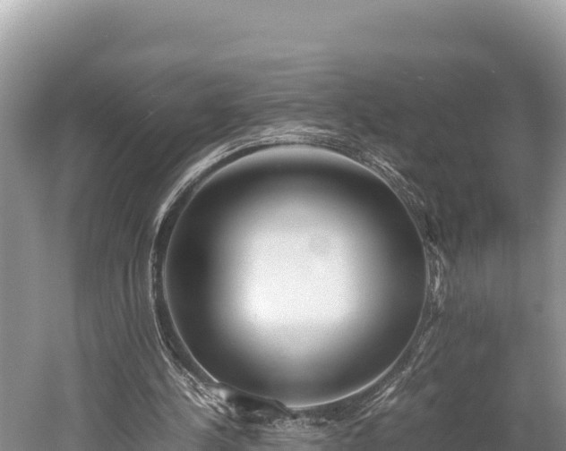 X0000052970244200507151809
