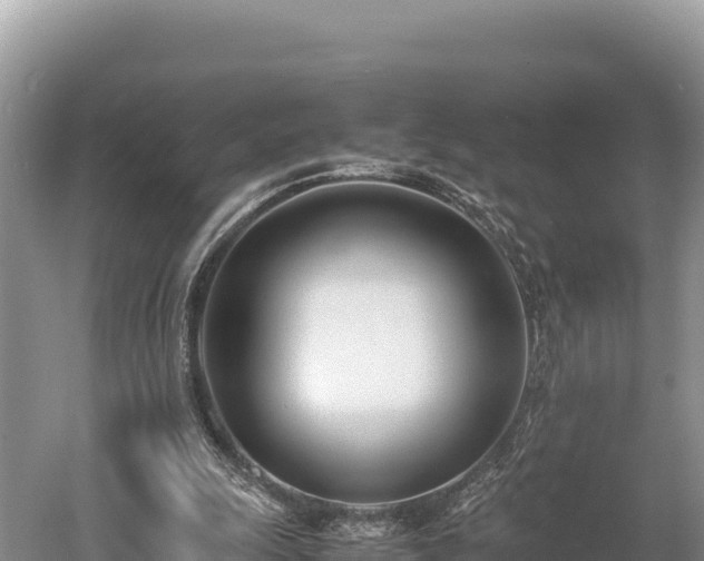 X0000052970247200507151809