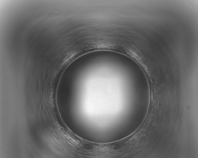 X0000052970249200507151809