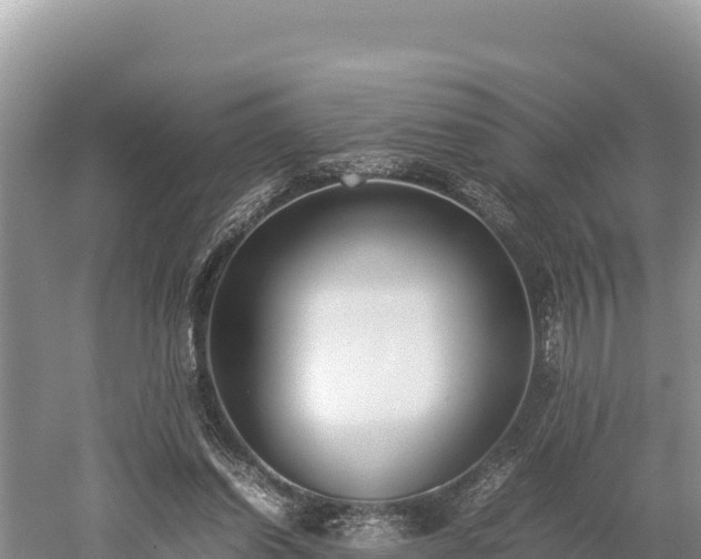 X0000052970254200507151809