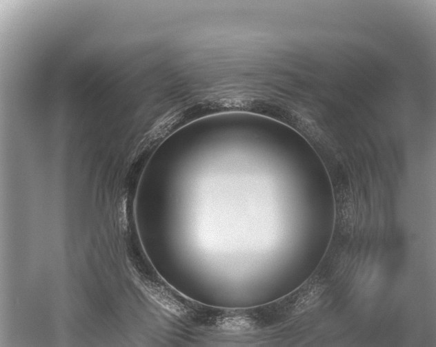 X0000052970262200507151809