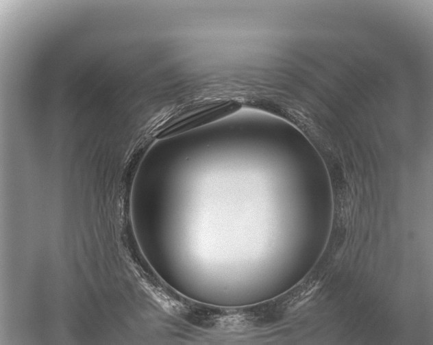 X0000052970309200507151809