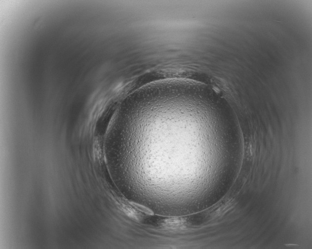 X0000052970335200507151808
