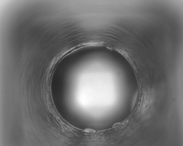 X0000052970337200507151807