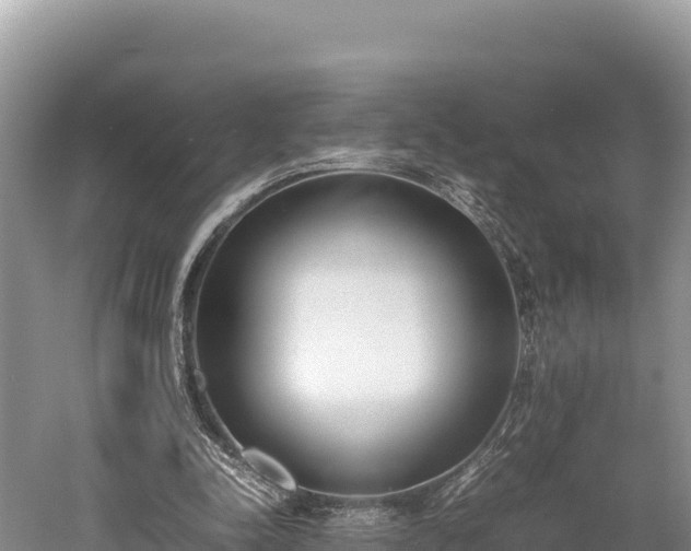 X0000052970342200507151807