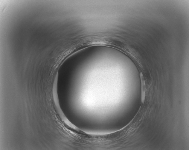 X0000052970385200507151807