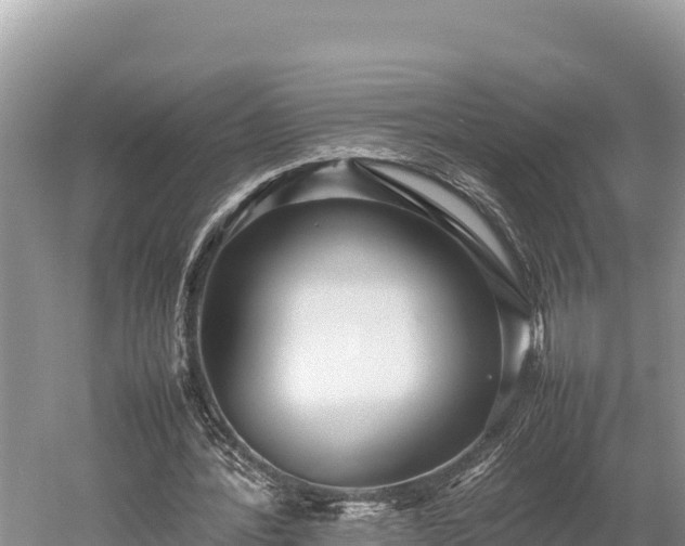 X0000052970388200507151807