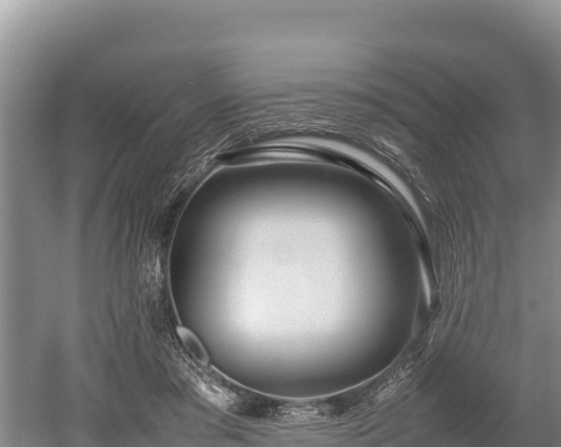 X0000052970405200507151807