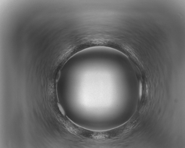 X0000052970407200507151807