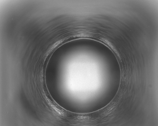 X0000052970437200507151806