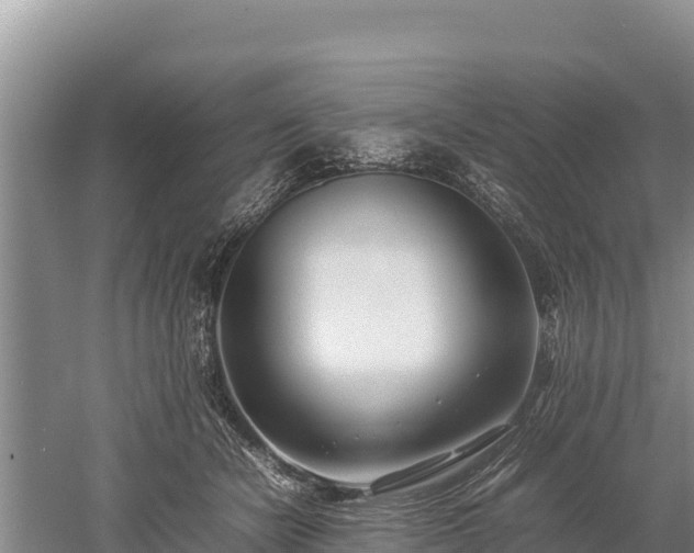 X0000052970462200507151806