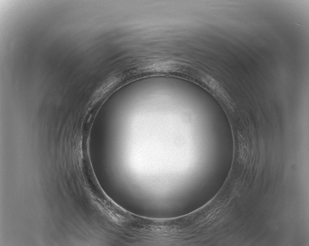 X0000052970486200507151806
