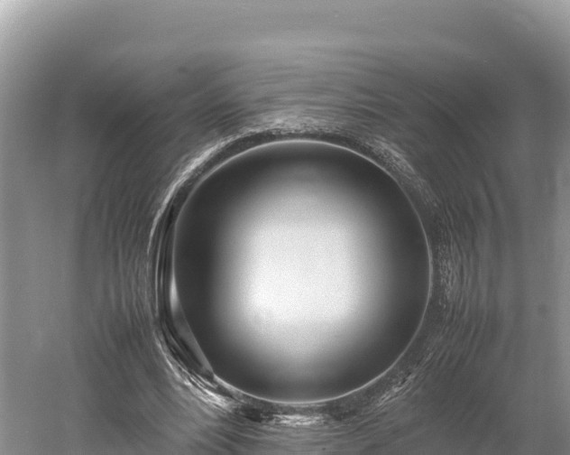 X0000052970488200507151806