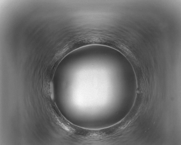 X0000052970489200507151806