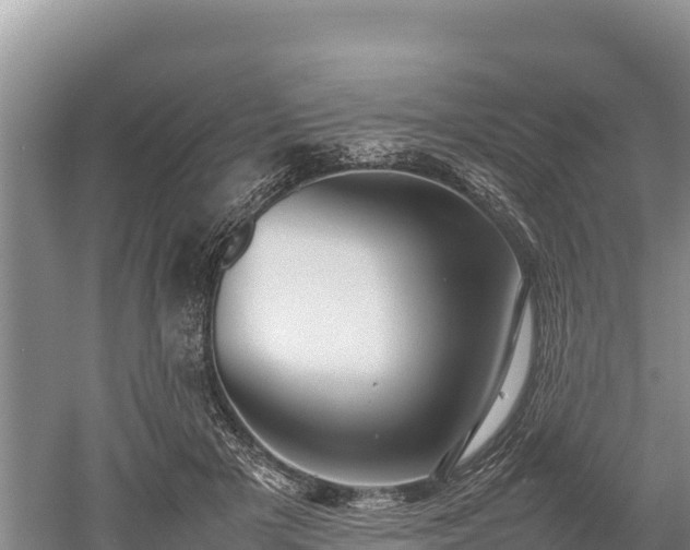 X0000052970505200507151805