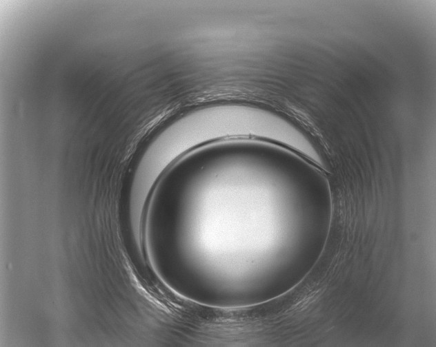 X0000052970538200507151804