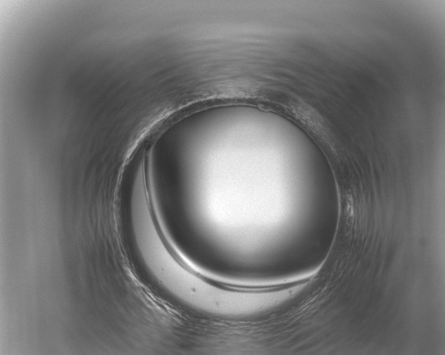 X0000052970676200507151802