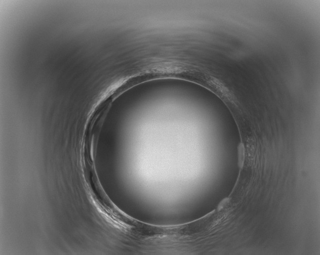 X0000052970726200507151801