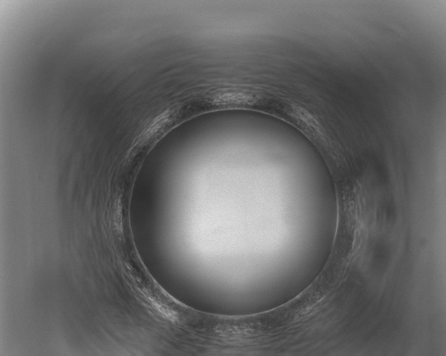 X0000052970729200507151801