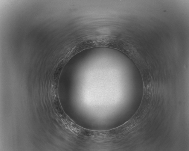 X0000052970772200507151801