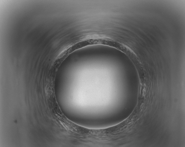 X0000052970775200507151801