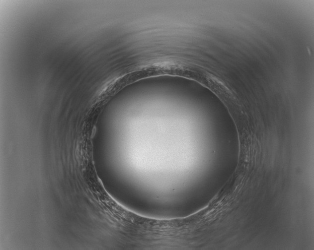X0000052970776200507151801