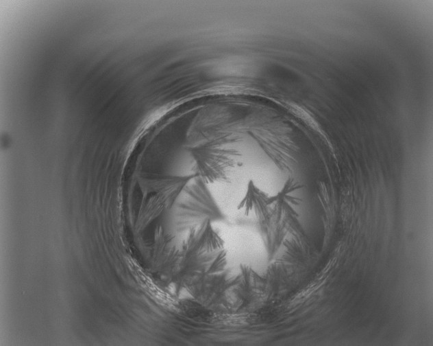 X0000052970831200507151759