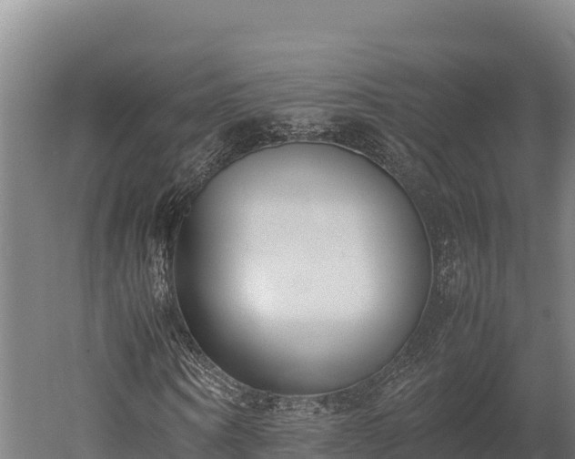X0000052970866200507151759