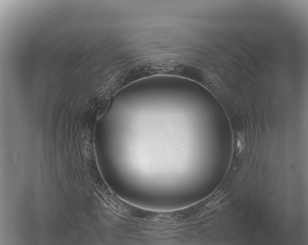 X0000052970867200507151759