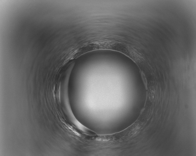 X0000052971010200507151756