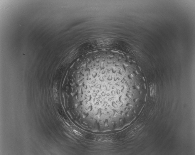 X0000052971011200507151756
