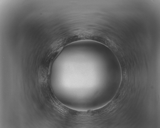 X0000052971012200507151756