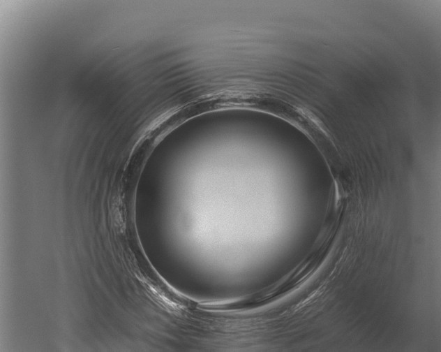 X0000052971018200507151756