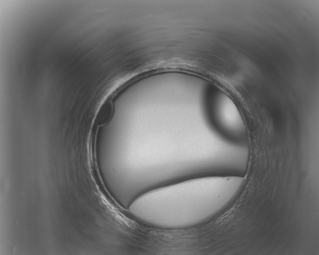 X0000052971032200507151756